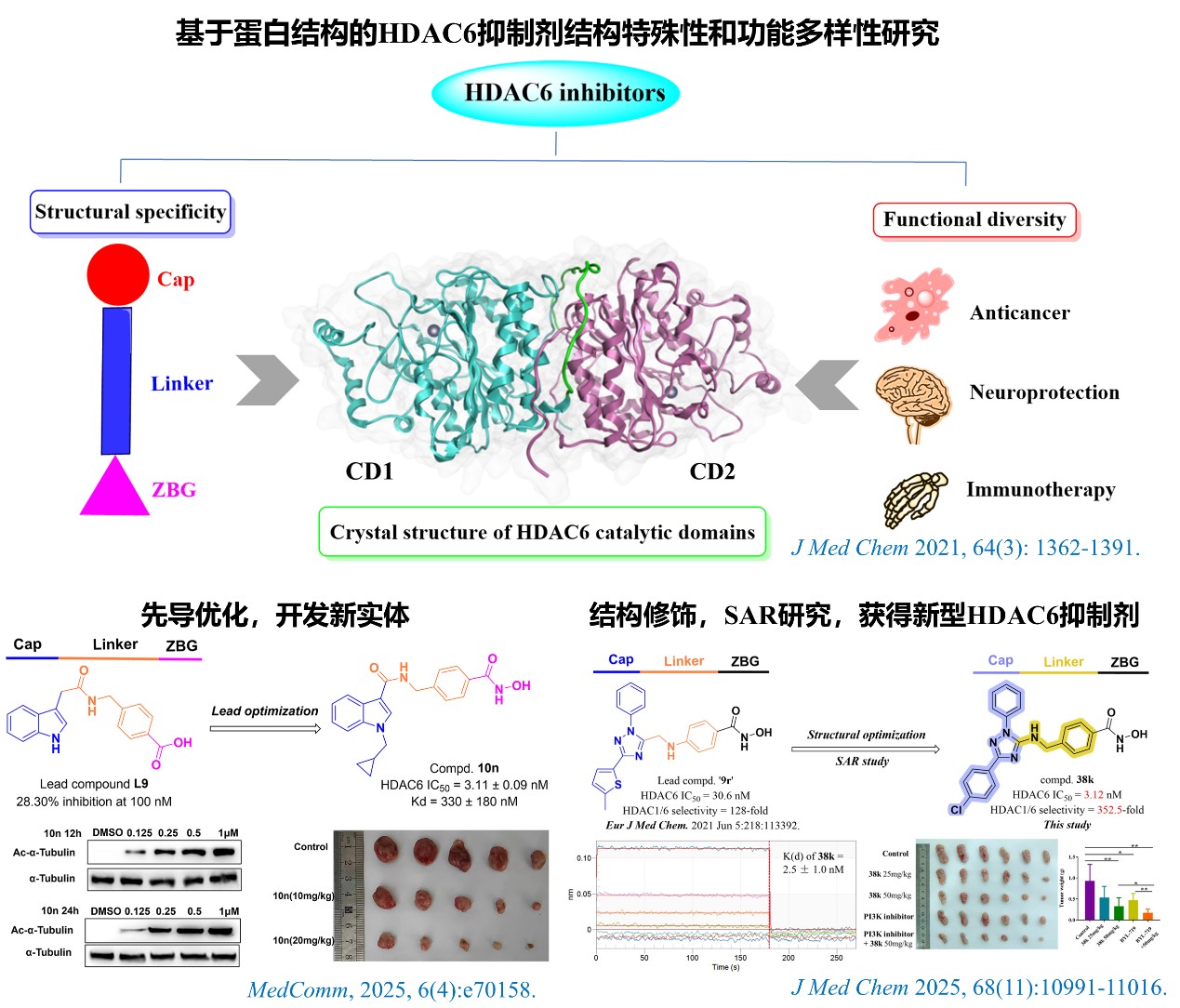 计算机辅助药物设计示意图2